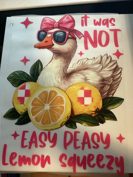 DTF Transfers Design D115- It Was Not Easy Peasy