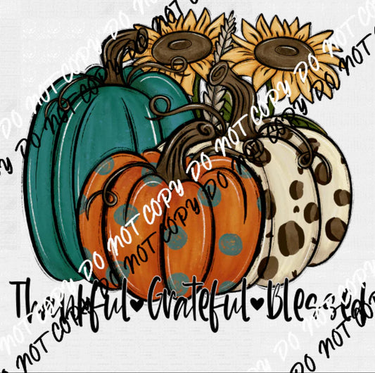 DTF Transfer Design D234- Pumpkins Teal Orange and Tan