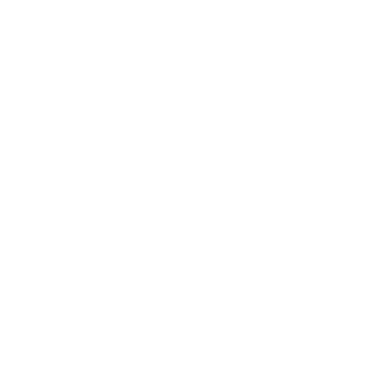 DTF Transfer Design D297- Wave Turtle Sun