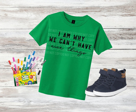 DTF Transfer Design D158-I Am Why We Can't Have Nice Things