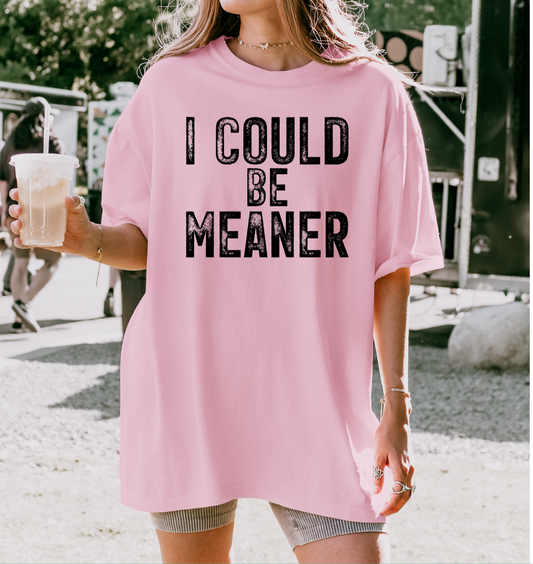 Screen Print Transfer S173- I Could Be Meaner