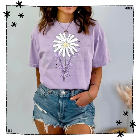 Daisy With Purple Flowers