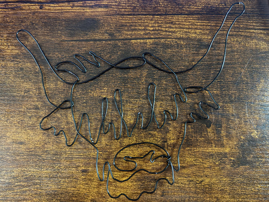 Wire Art