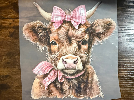 Baby Highland Co with Pink Bow