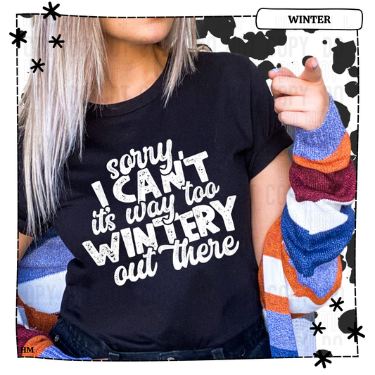 Sorry I Cant Its Way Too Wintery Out There