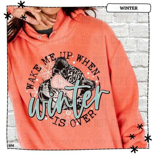Wake Me Up When Winter Is Over